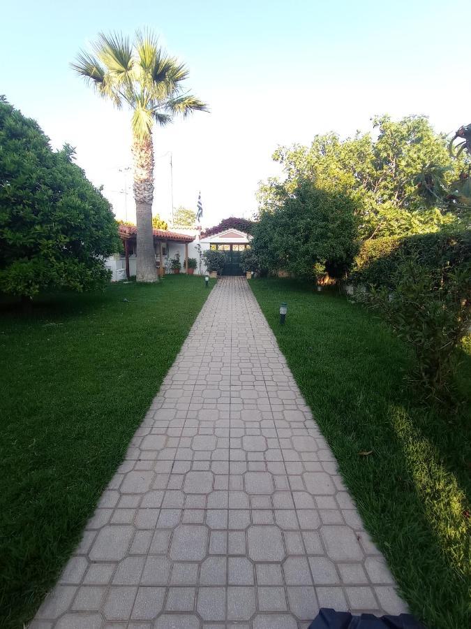 Galini Apartment Near Sea, Port And Airport Artemida  Exterior photo
